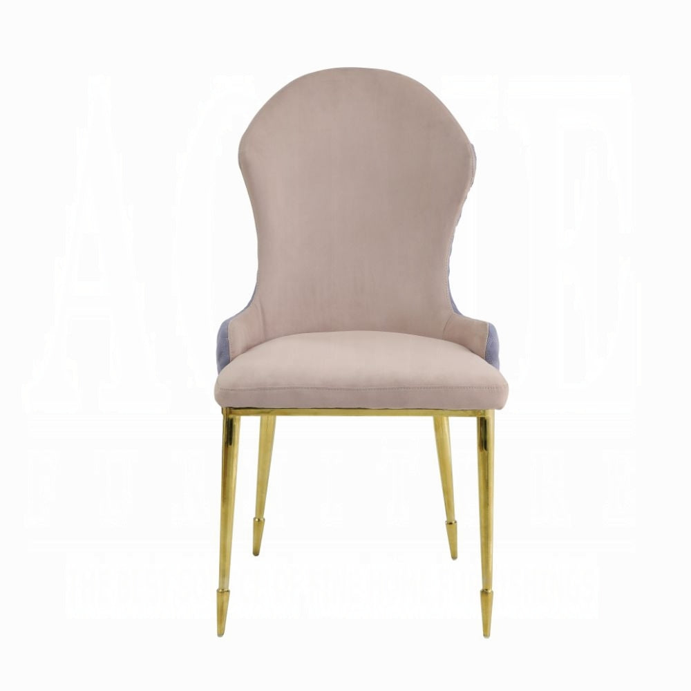 Caolan Side Chair (Set 2)