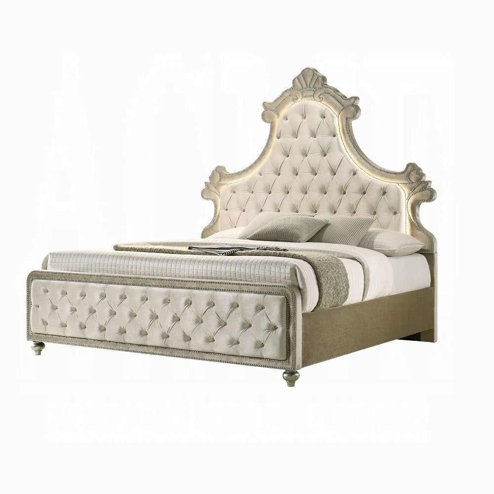 Lucienne Queen Bed W/LED