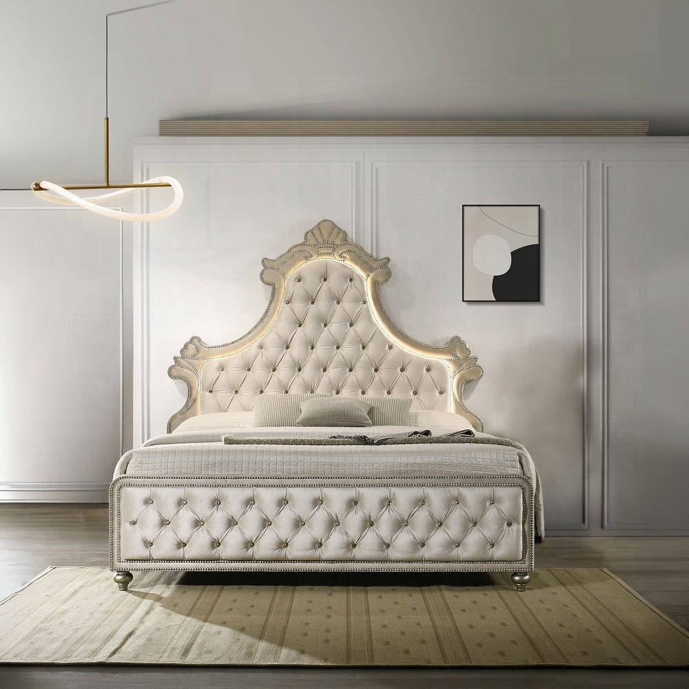 Lucienne Queen Bed W/LED