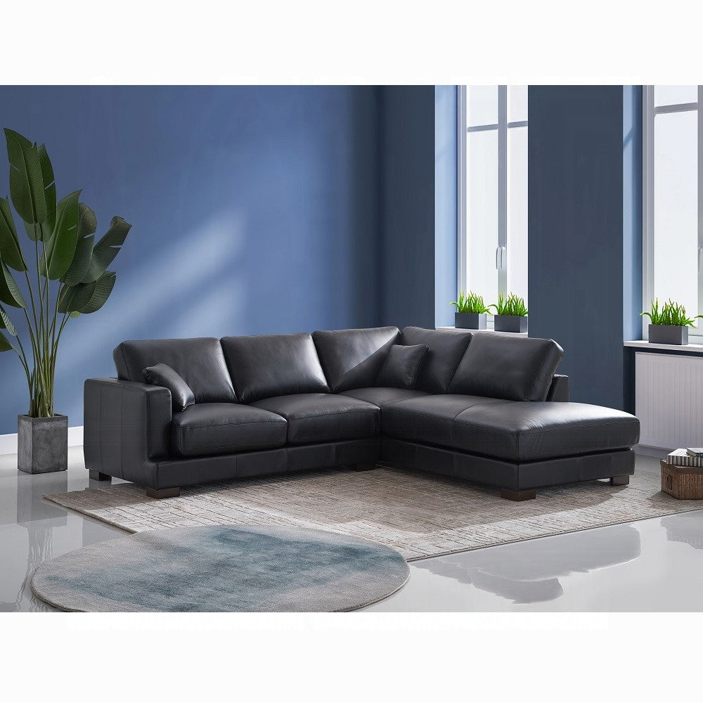 Geralyn Sectional Sofa W/2 Pillows